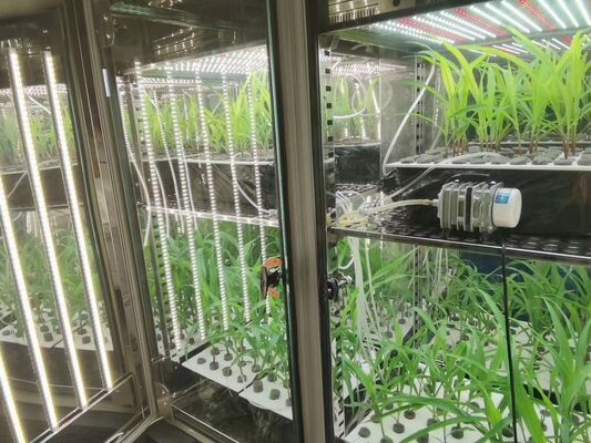 Liyi พืชที่เติบโตห้องอากาศประดิษฐ์ เครื่องเจริญเมล็ดพันธุ์ กล่องพืชที่เติบโตอุปกรณ์เลี้ยง
